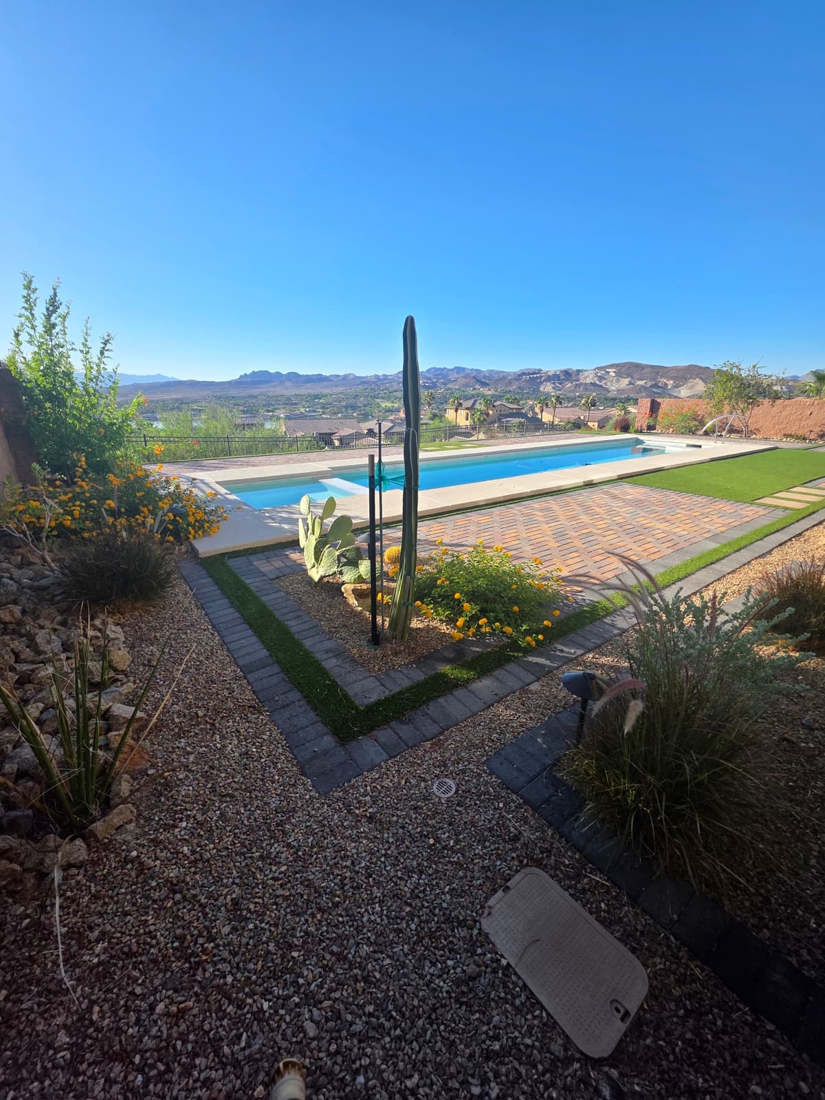 Backyard pool with desert mountain views, treated for pests