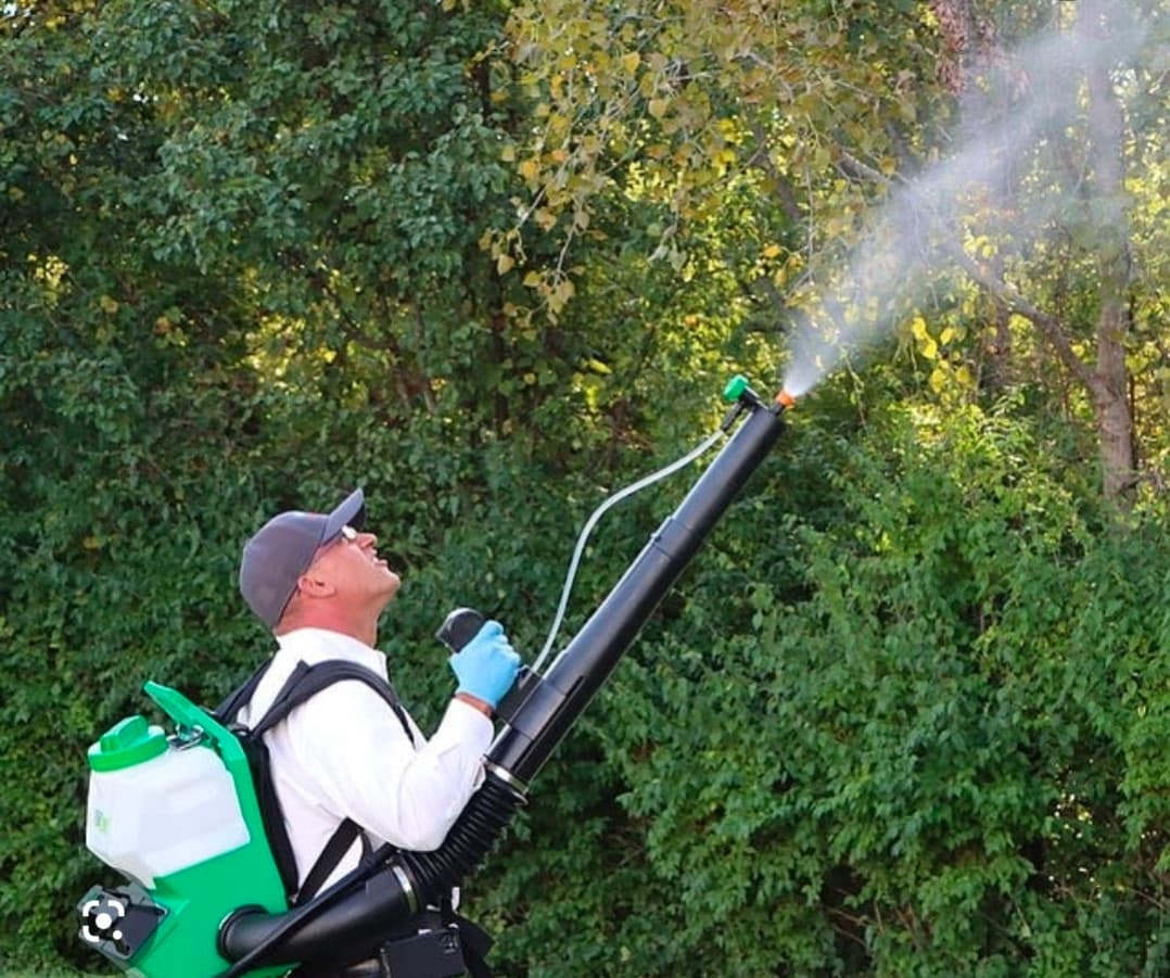 Technician treating tree canopy with a backpack mist blower
